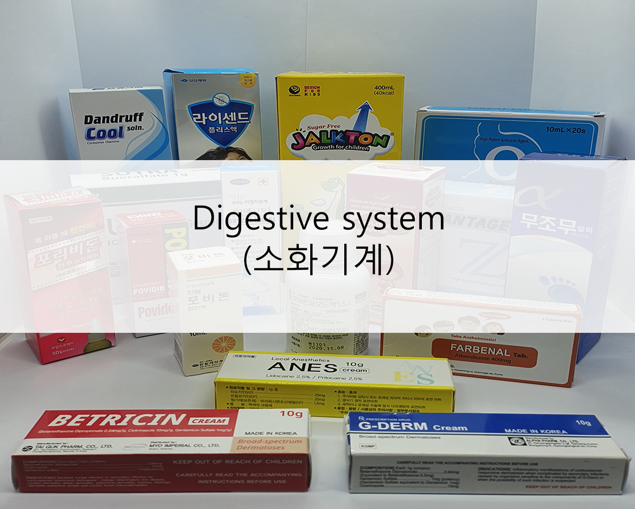 digestive_system__소화기계_.png