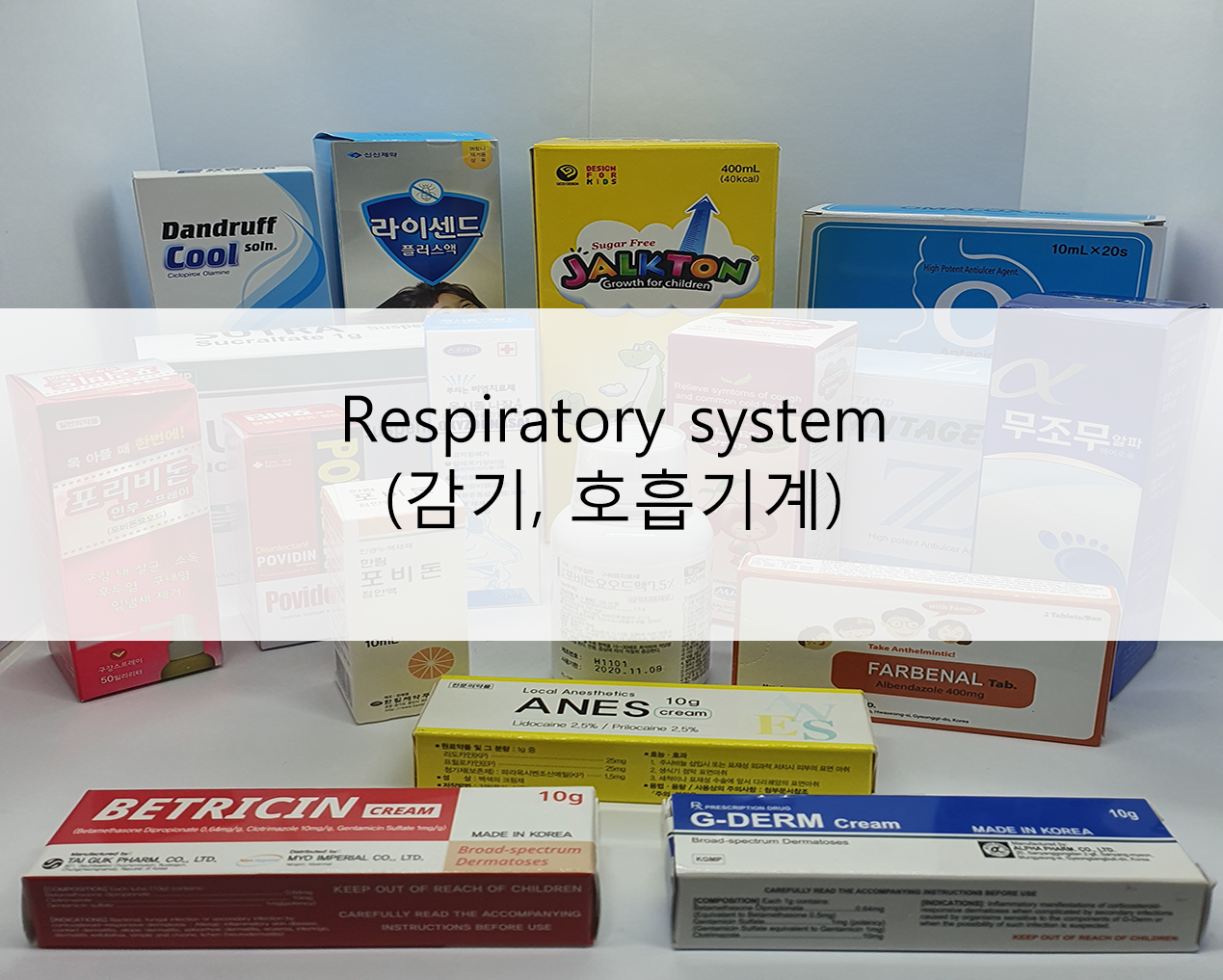 respiratory_system__감기__호흡기계_.png